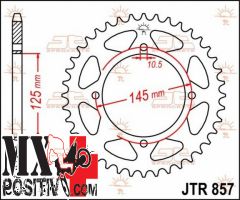 IRON SPROCKET YAMAHA TT 600 1996-1997 JT JTR857.39 39 DENTI PASSO 520