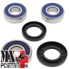 KIT CUSCINETTI RUOTA POSTERIORE HONDA CB600F HORNET (EURO) 2007-2012 ALL BALLS 25-1257