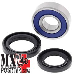 STEERING STEM BEARING LOWER KIT ARCTIC CAT 250 DVX 2006-2008 ALL BALLS 25-1722