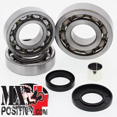 DIFFERENTIAL BEARING KIT FRONT POLARIS MAGNUM 500 4X4 HDS FB 2001 ALL BALLS 25-2058