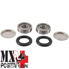 KIT CUSCINETTI FORCELLONE HONDA TRX400FW FOURTRAX FOREMAN 4X4 1995-2003 PIVOT WORKS PWSAK-H42-000