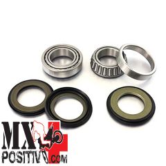 STEERING STEM BEARING KITS BETA RR 125 2T 2018-2024 PROX PX24.110026